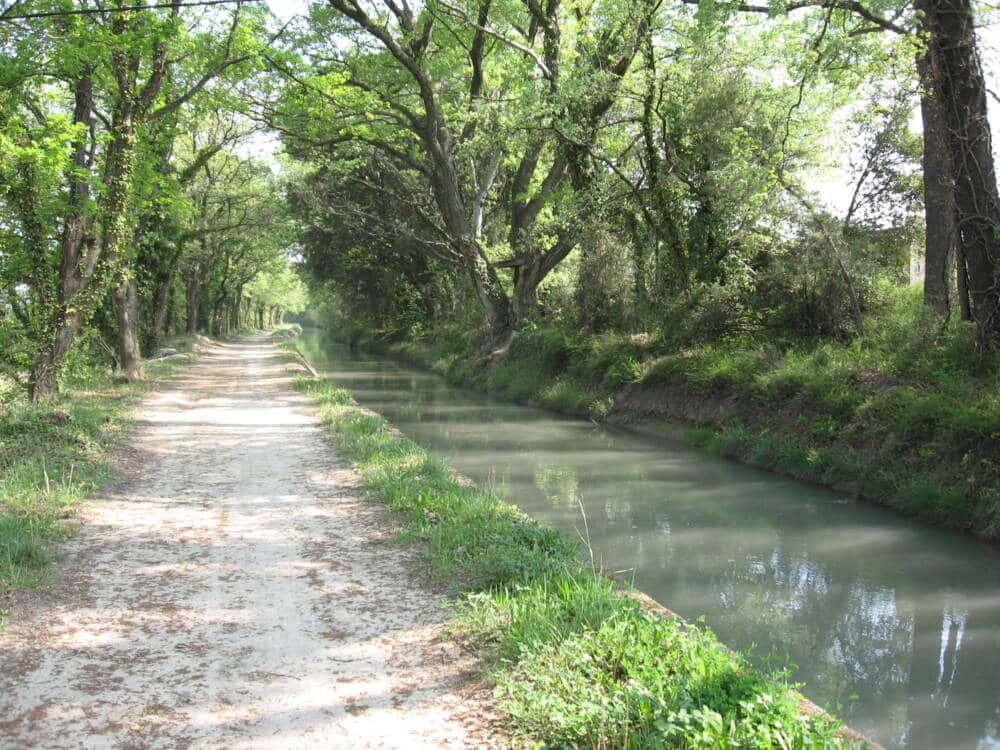 Copie de Canal de Carpentras 009