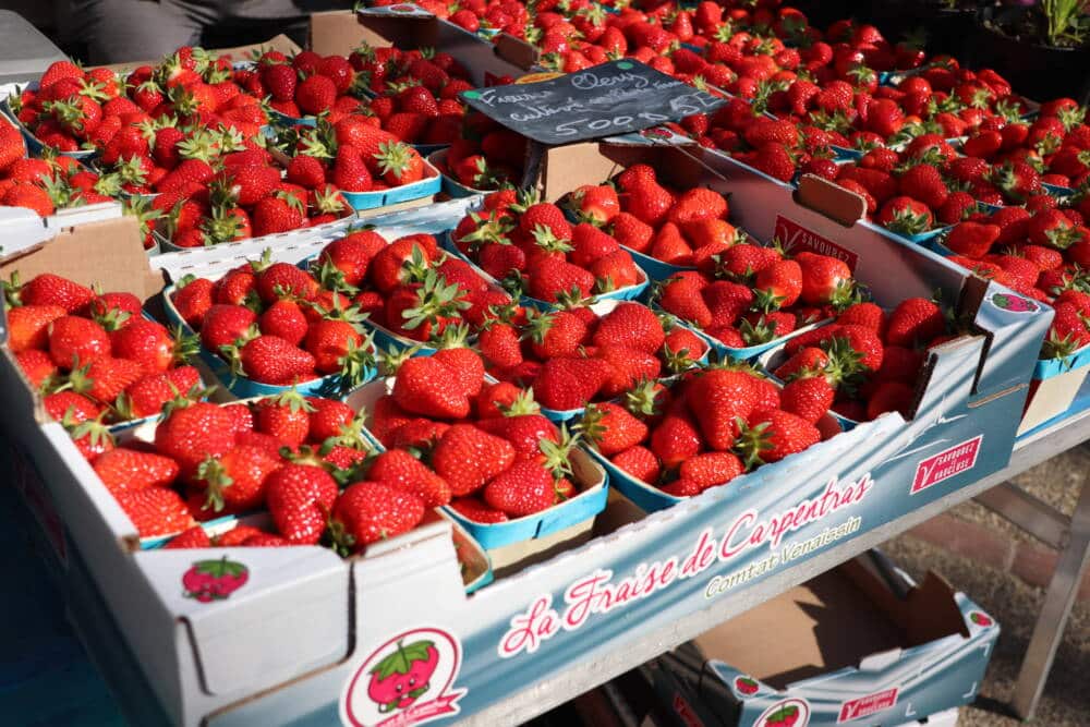 Copie de Reprise marche producteurs carpentras fraise 05.04.22 C.LEROI 1