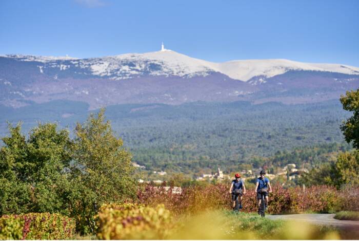 Copie de Au pied du Ventoux 44182 ROSSO Damien